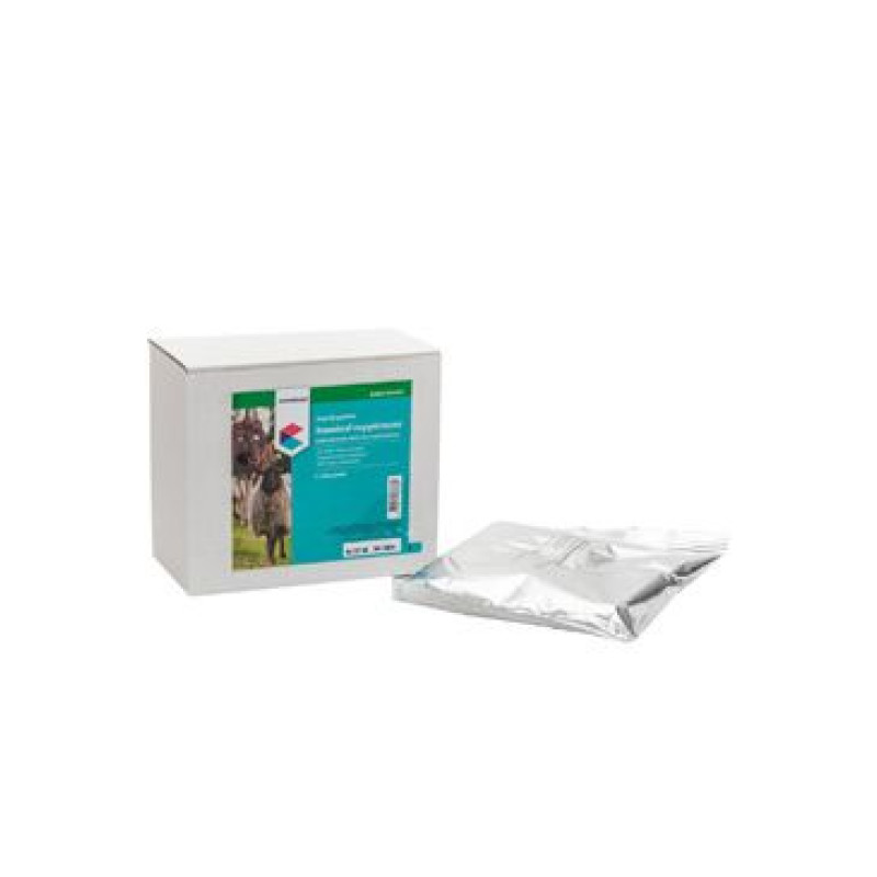 NutriCareVet Rumen support Ruminal 2x200g CVET