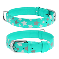 WAUDOG obojek kožený Stars mint (27-36cm/1,5cm)