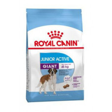 Royal Canin Giant Junior Active 15kg