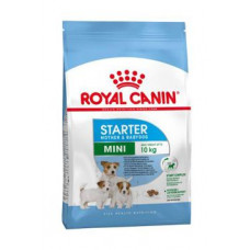 Royal Canin Mini Starter Mother&Babydog 1kg